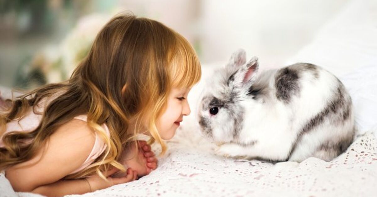 10 Biggest Rabbits for Children